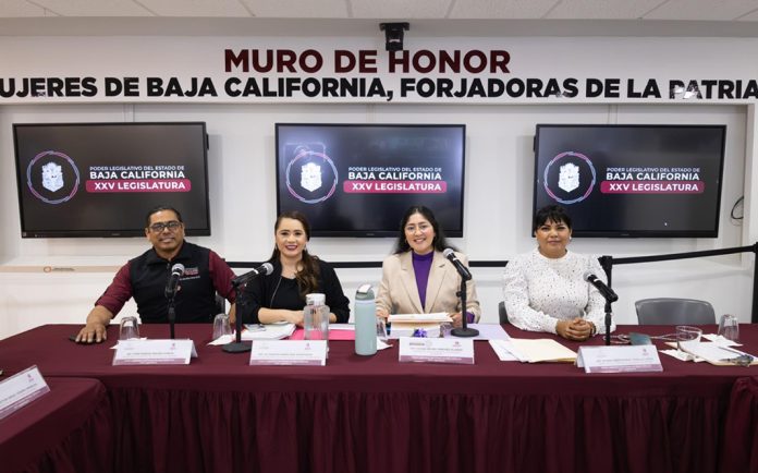 WhatsApp Image 2026-02-25 at 17.57.43