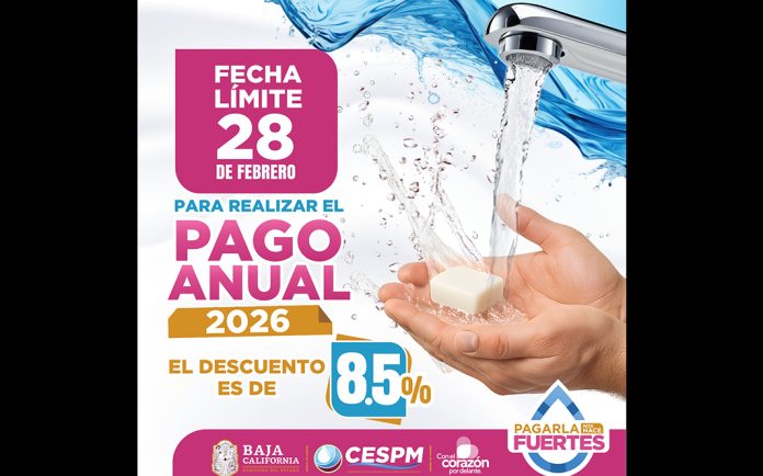 WhatsApp Image 2026-02-25 at 18.41.34