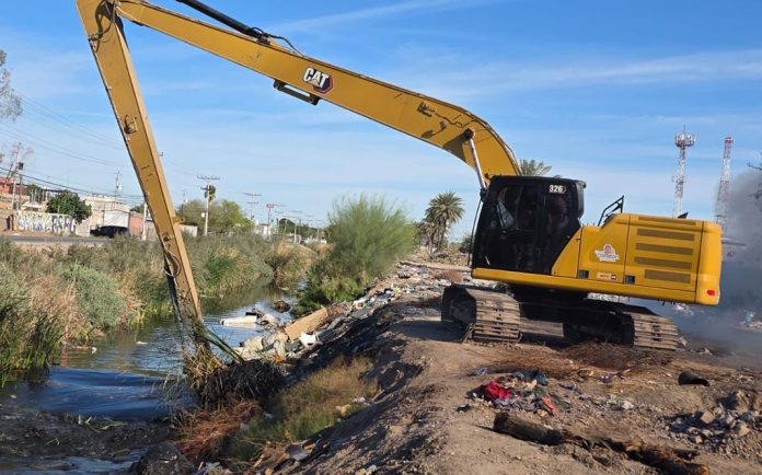 WhatsApp Image 2026-02-25 at 18.41.55